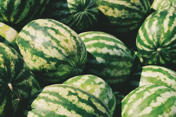 How to pick a watermelon?
